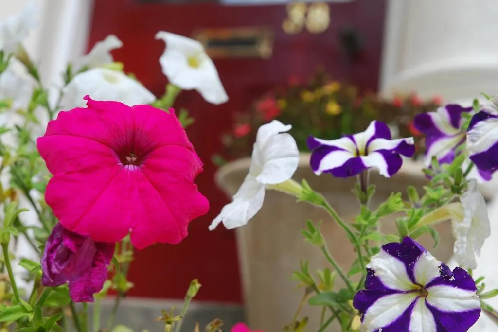 Gervis Court Hotel Bournemouth Bed & Breakfast